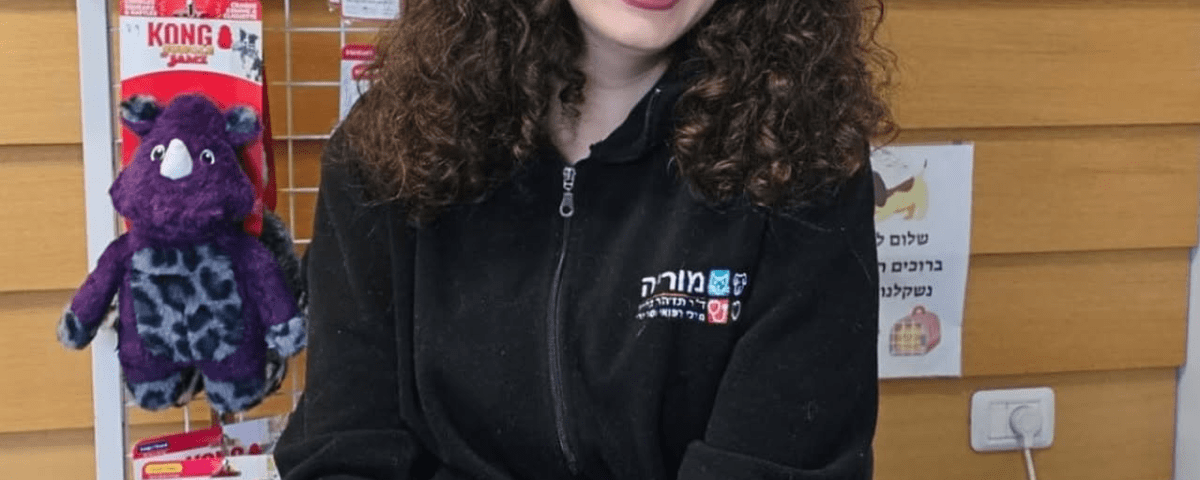 טל גונן